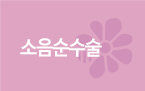 소음순수술